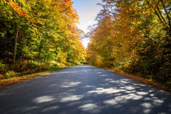 Cost of Blacktop Replacement in Little Rock